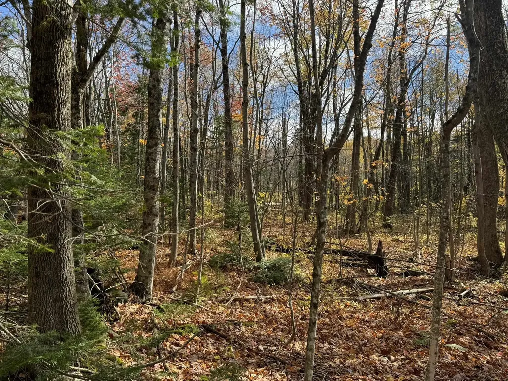 298 Dover Hill Road Dover VT 05356