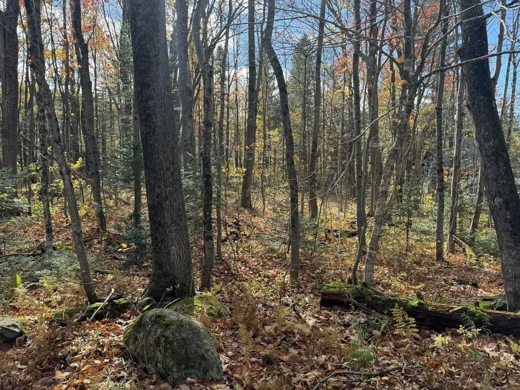 298 Dover Hill Road Dover VT 05356