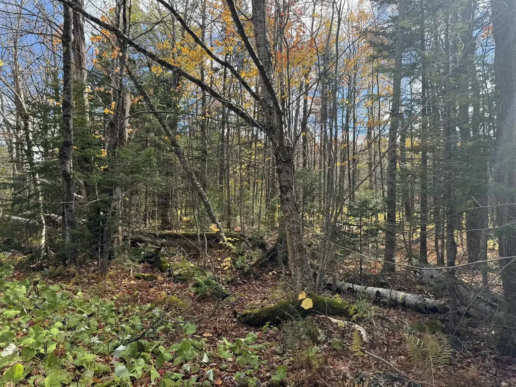 298 Dover Hill Road Dover VT 05356