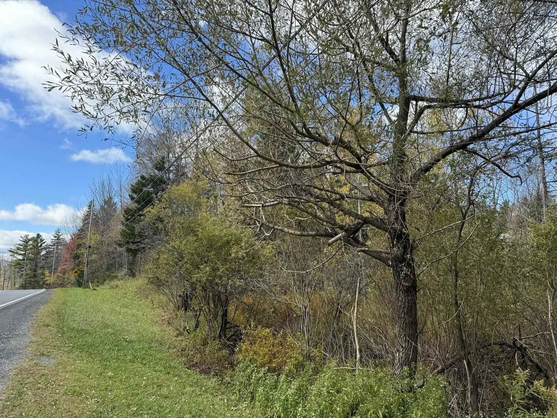 298 Dover Hill Road Dover VT 05356