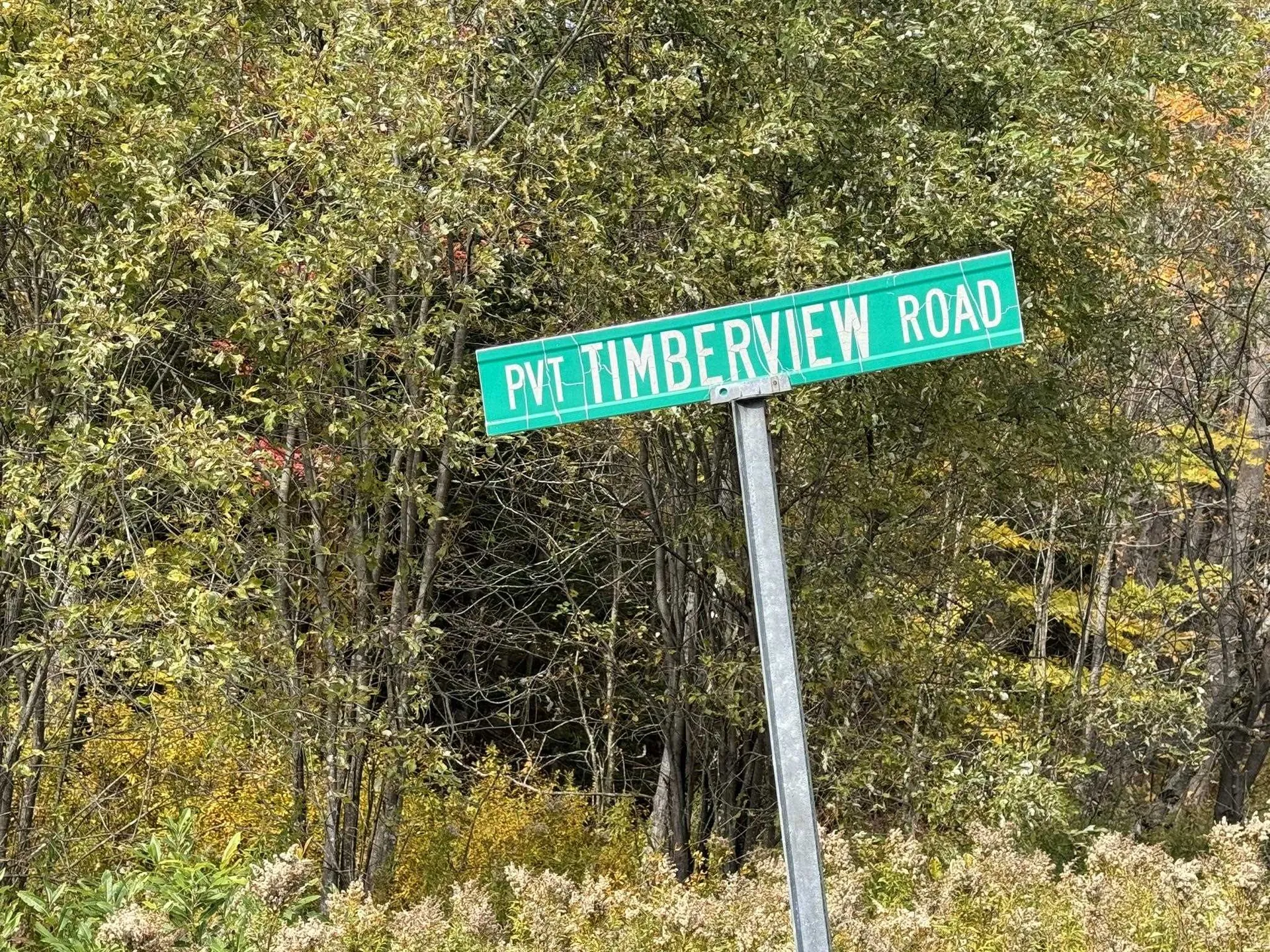 298 Dover Hill Road Dover VT 05356