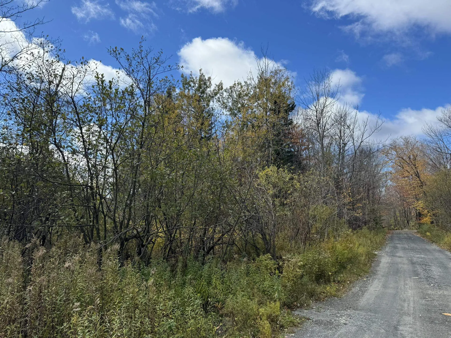 298 Dover Hill Road Dover VT 05356