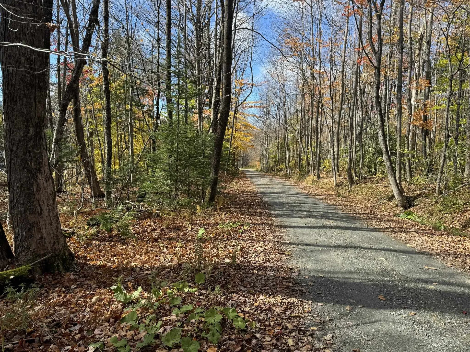 298 Dover Hill Road Dover VT 05356