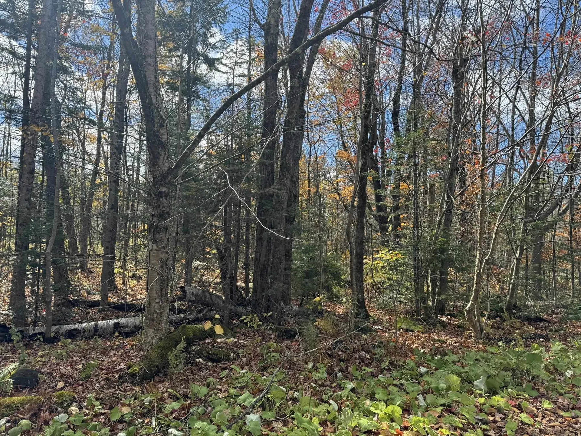 298 Dover Hill Road Dover VT 05356