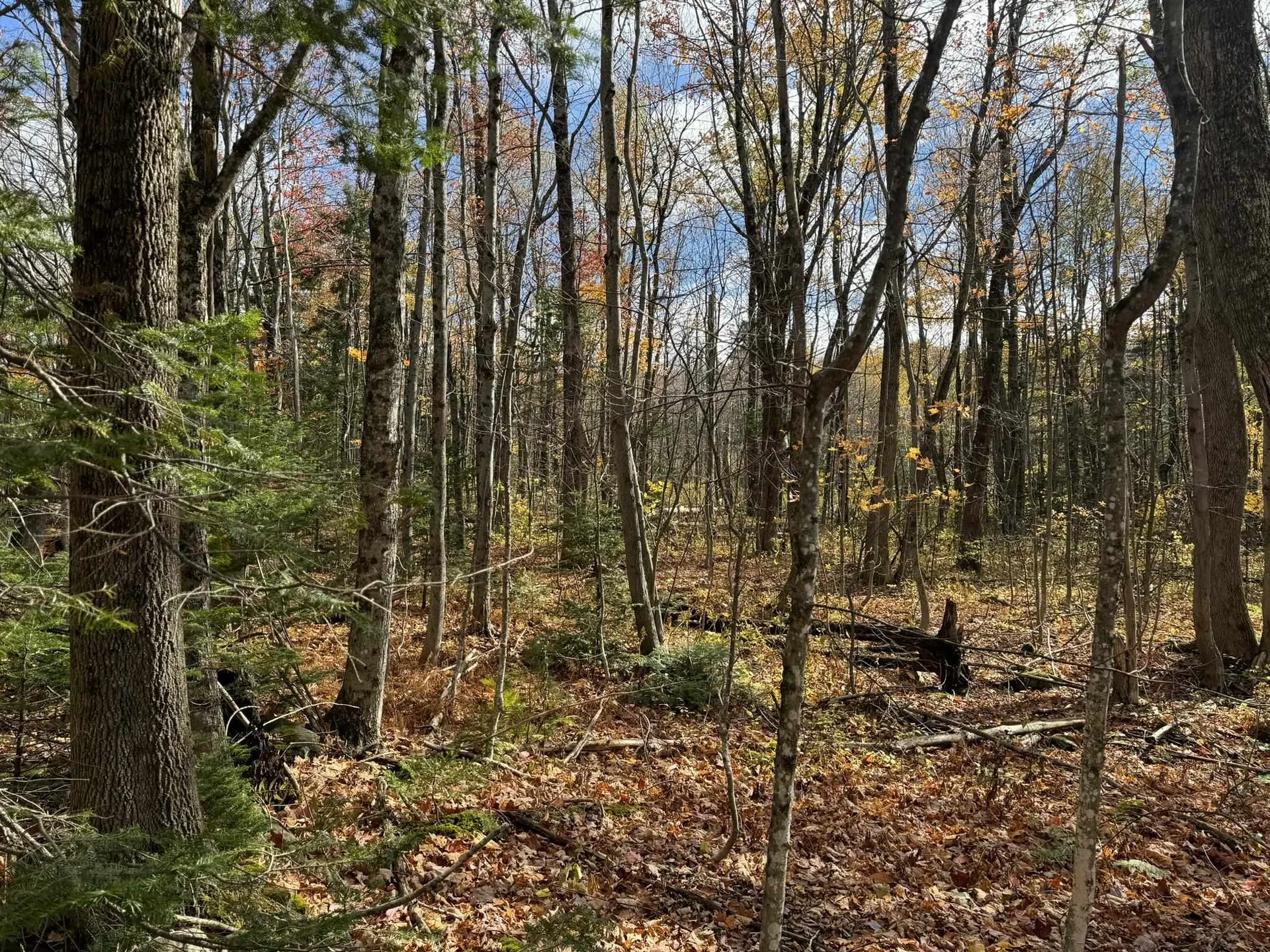 298 Dover Hill Road Dover VT 05356