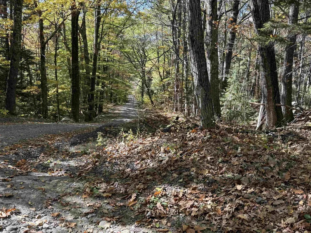 529 Finkel Road Wardsboro VT 05355