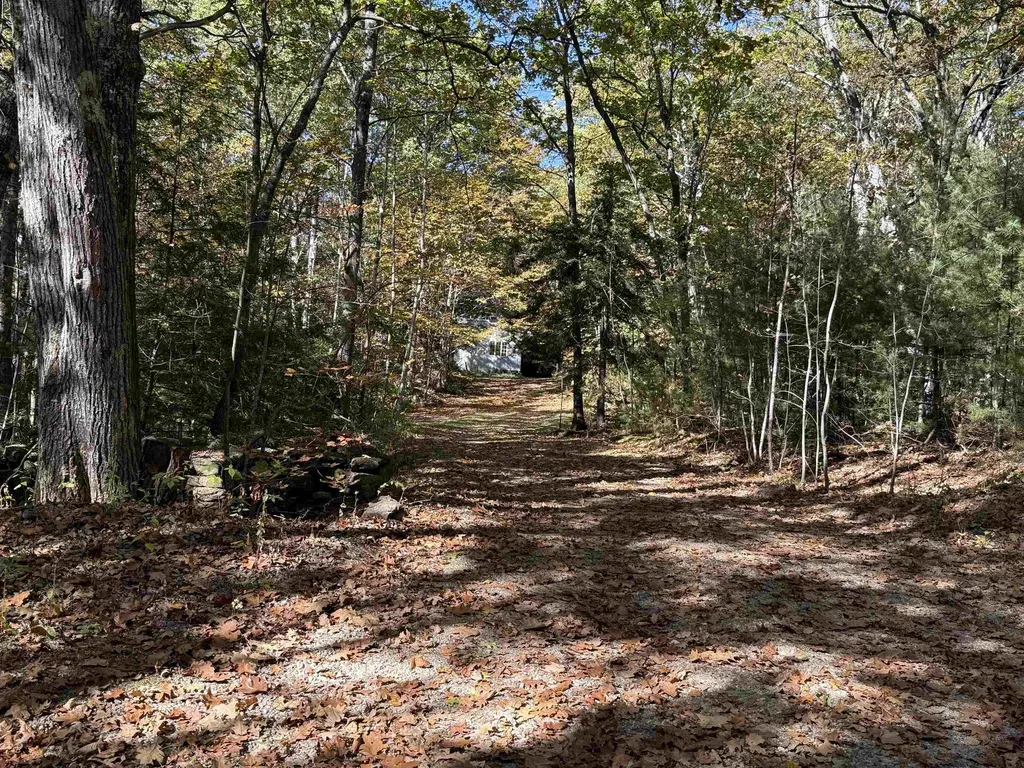 529 Finkel Road Wardsboro VT 05355