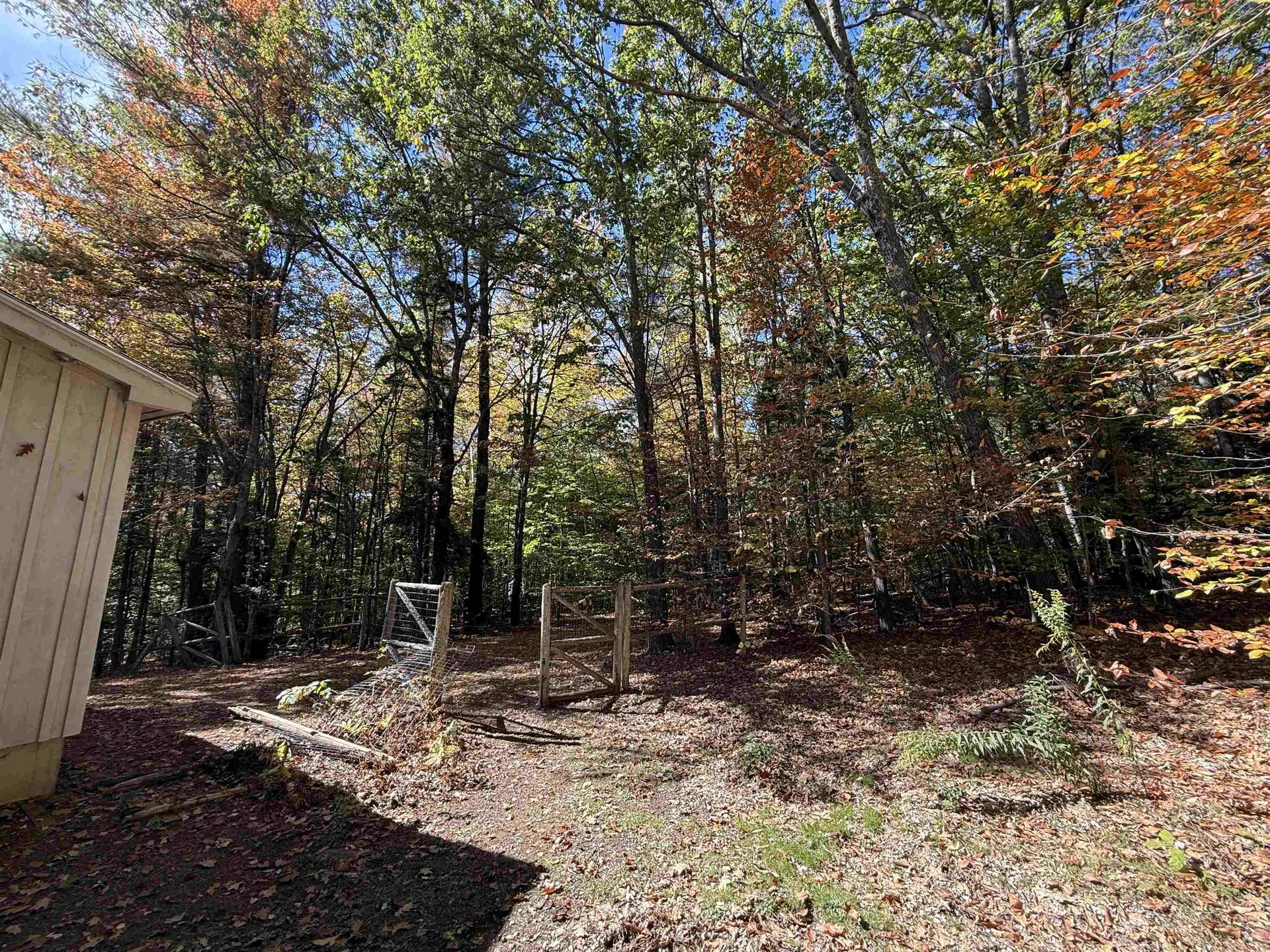 529 Finkel Road Wardsboro VT 05355