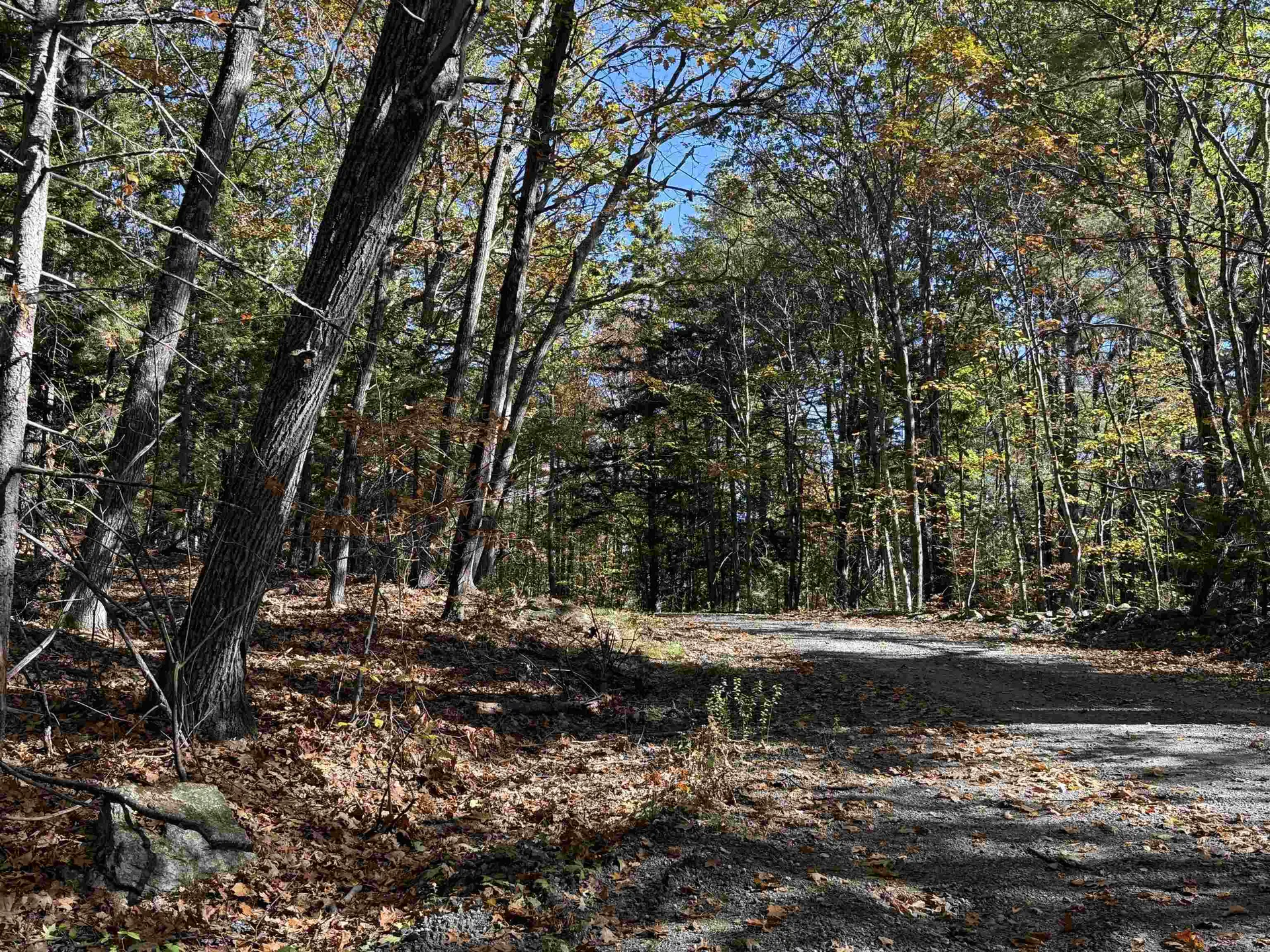 529 Finkel Road Wardsboro VT 05355