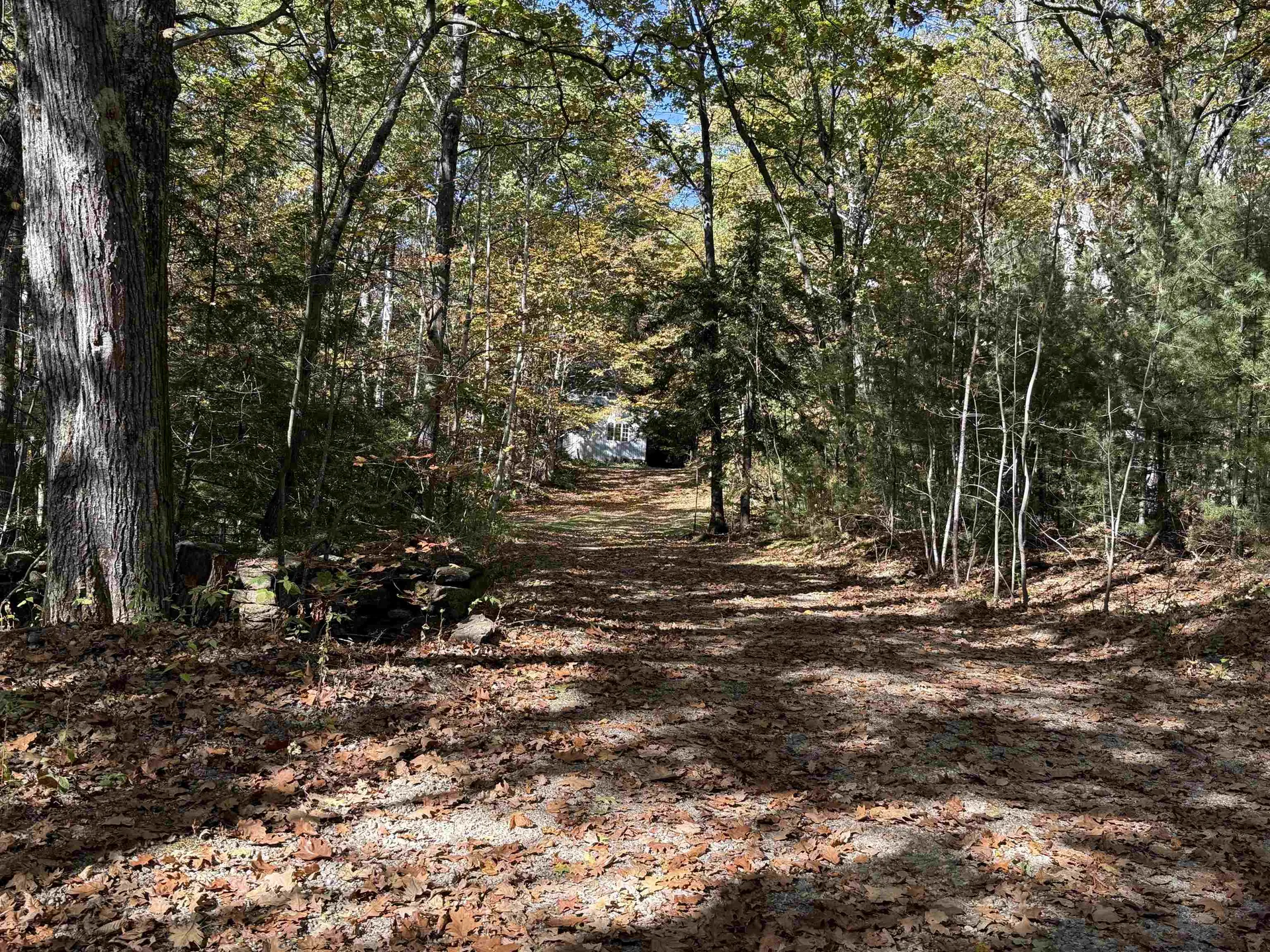 529 Finkel Road Wardsboro VT 05355