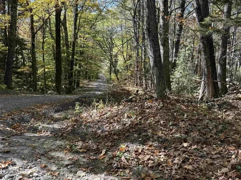 529 Finkel Road Wardsboro VT 05355