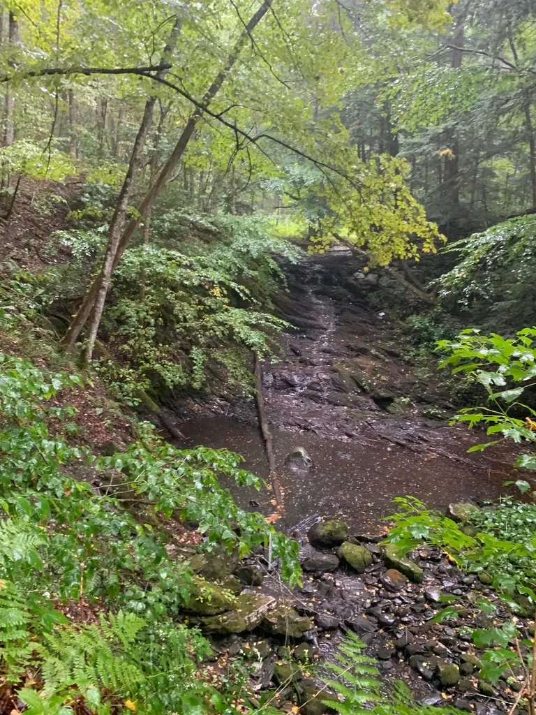 152 Pencil Mill Road Castleton VT 05735