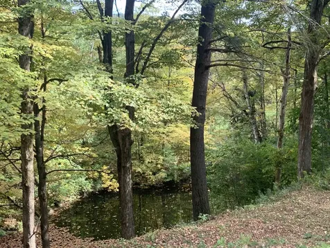 152 Pencil Mill Road Castleton VT 05735