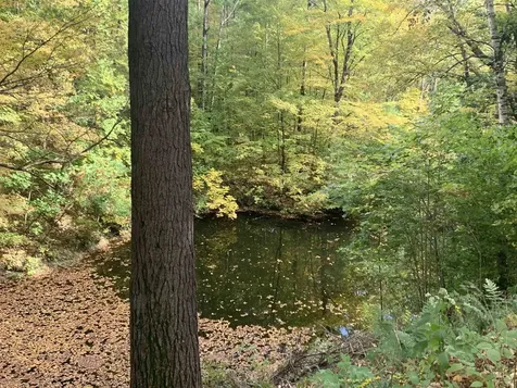 152 Pencil Mill Road Castleton VT 05735