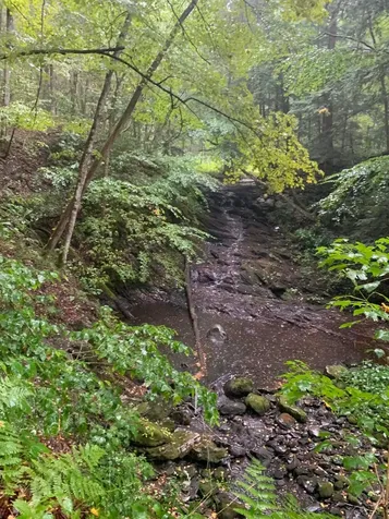 152 Pencil Mill Road Castleton VT 05735