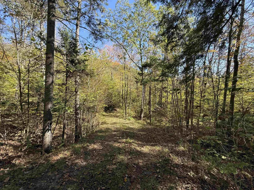 2610 Lower Dover Road Marlboro VT 05344