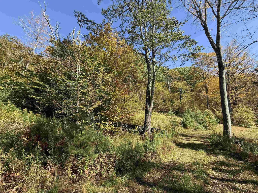 2610 Lower Dover Road Marlboro VT 05344