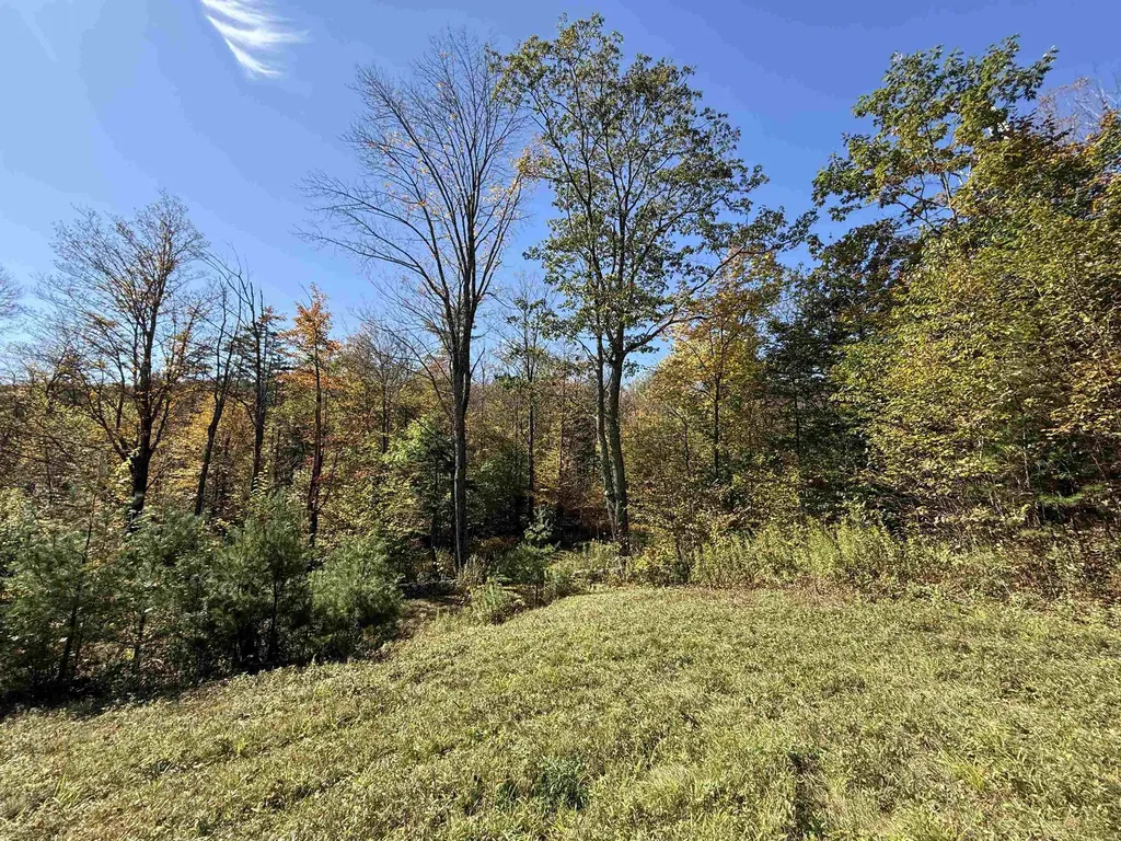 2610 Lower Dover Road Marlboro VT 05344