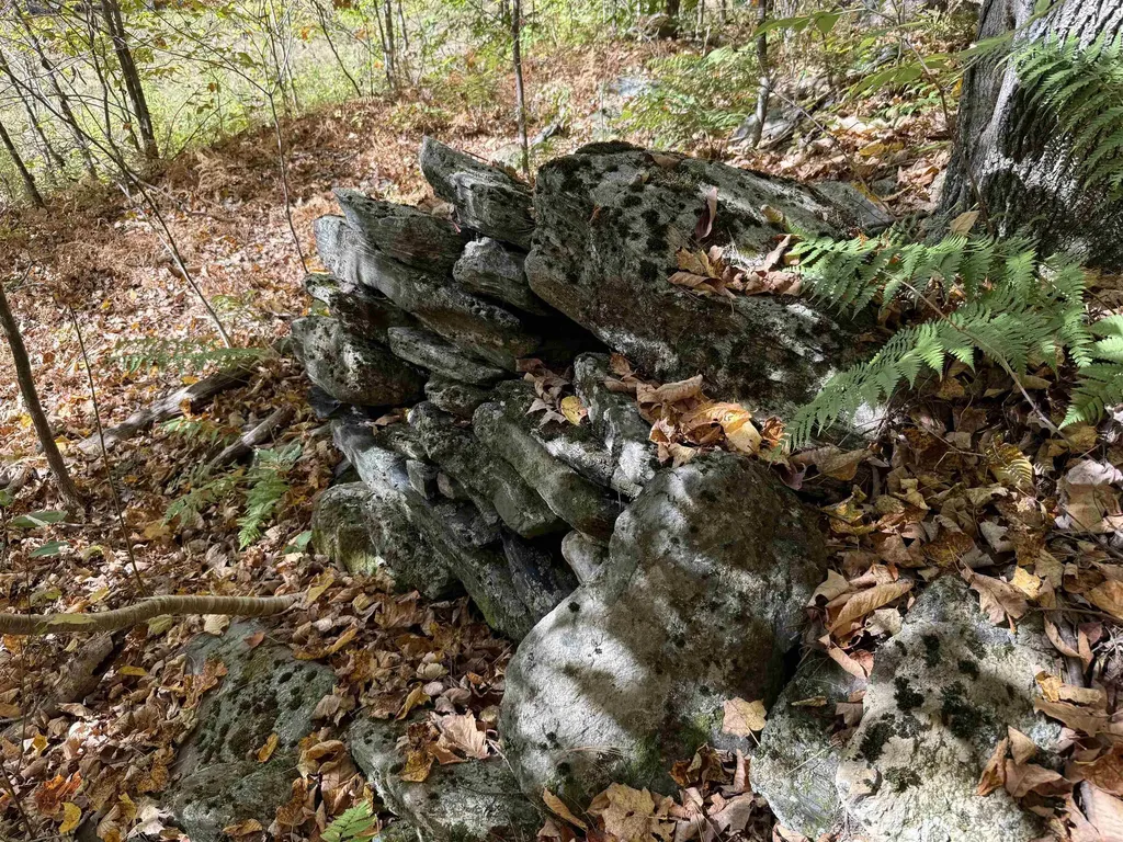 2610 Lower Dover Road Marlboro VT 05344