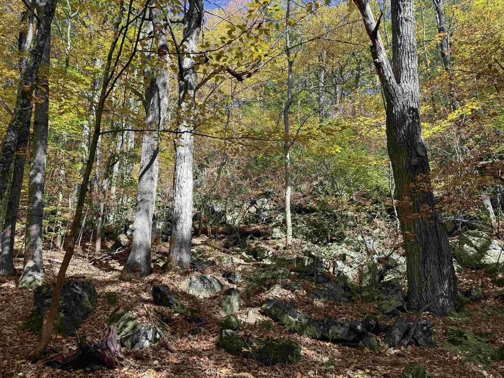 2610 Lower Dover Road Marlboro VT 05344