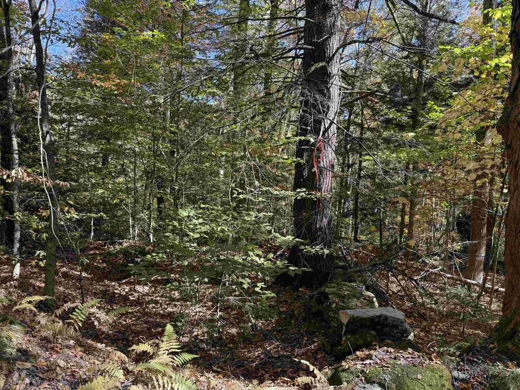 2610 Lower Dover Road Marlboro VT 05344