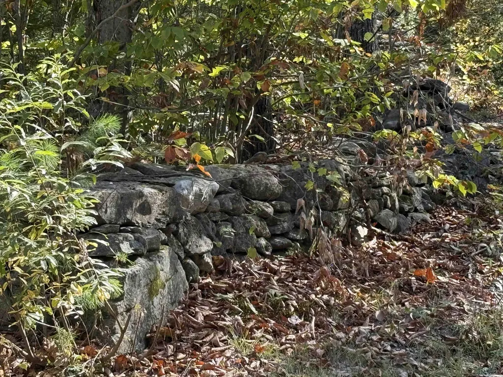 2610 Lower Dover Road Marlboro VT 05344