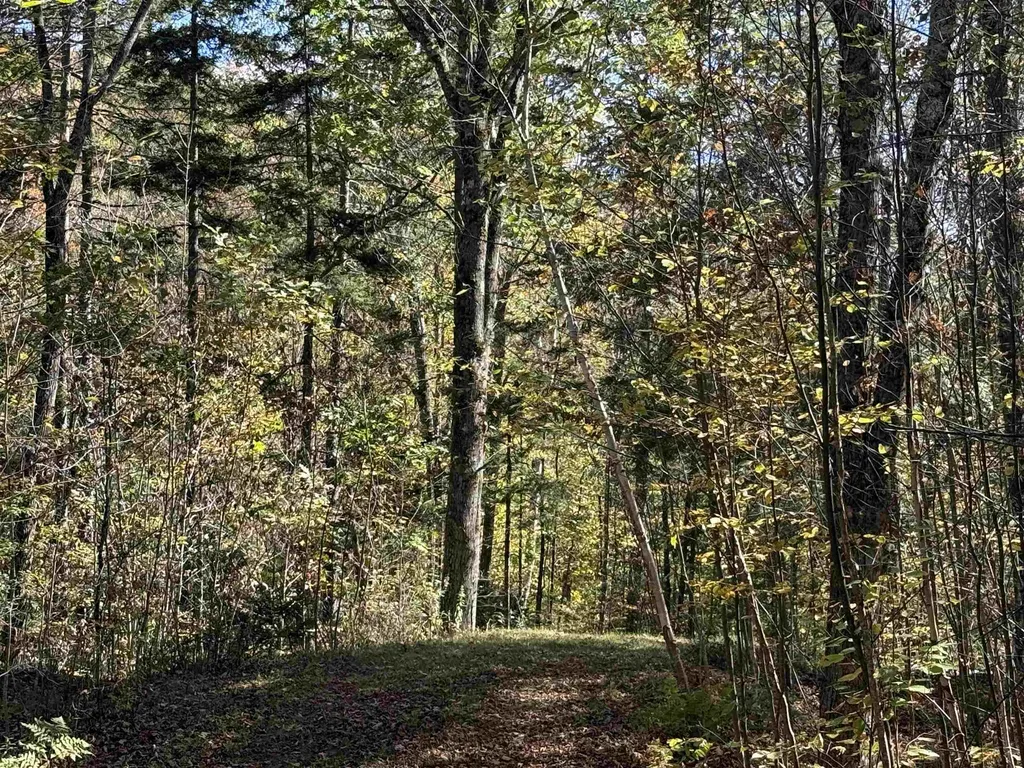 2610 Lower Dover Road Marlboro VT 05344