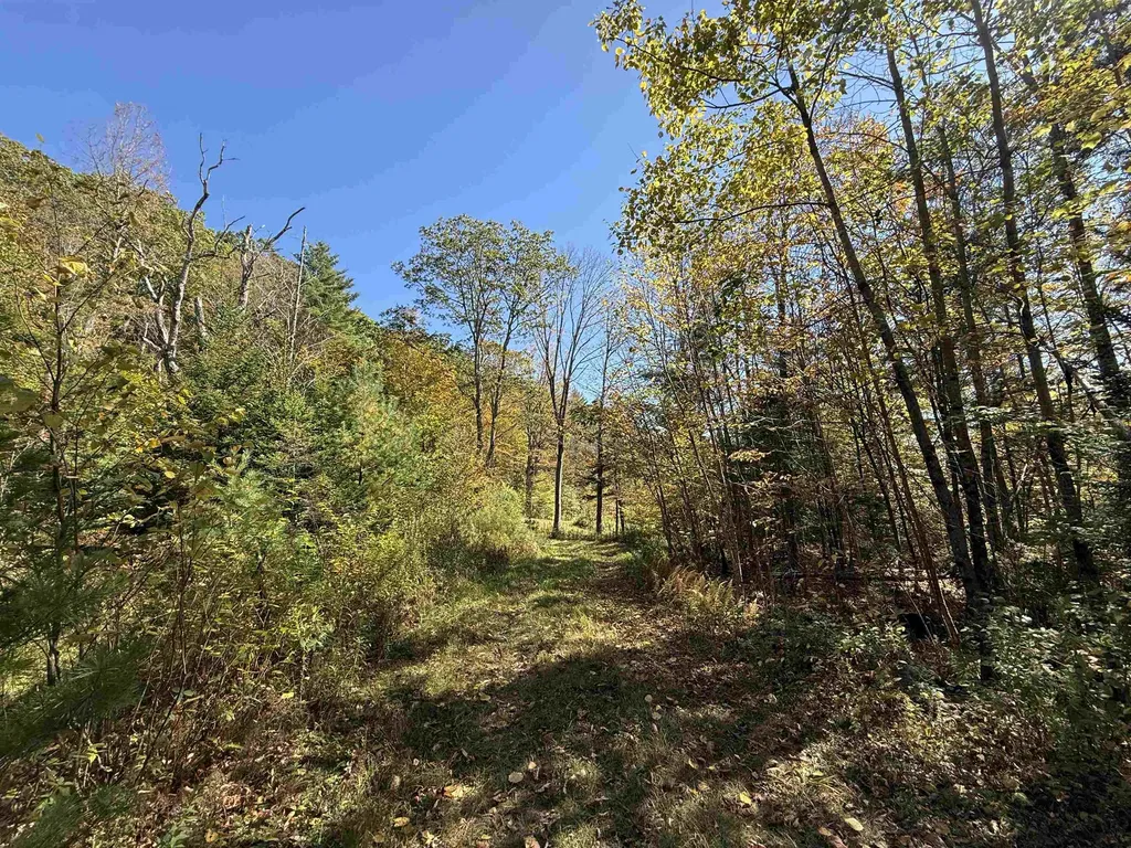 2610 Lower Dover Road Marlboro VT 05344