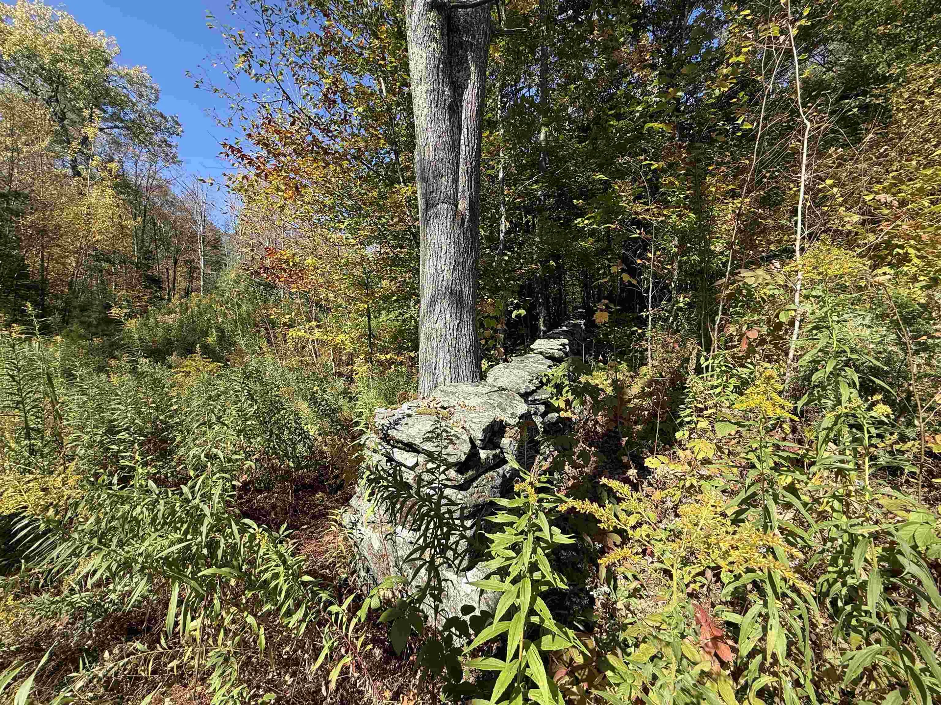 2610 Lower Dover Road Marlboro VT 05344