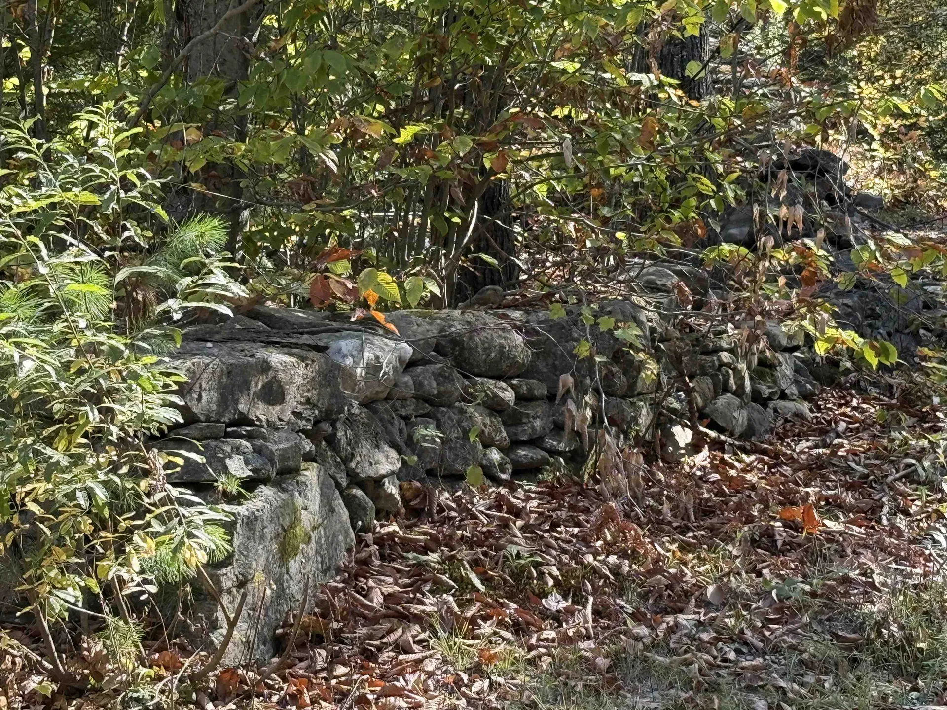 2610 Lower Dover Road Marlboro VT 05344