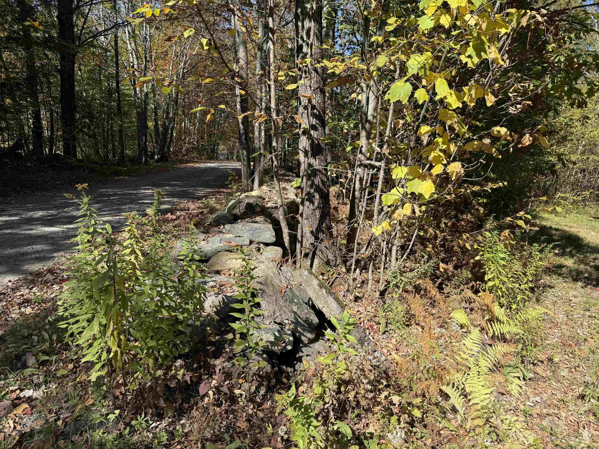 2610 Lower Dover Road Marlboro VT 05344