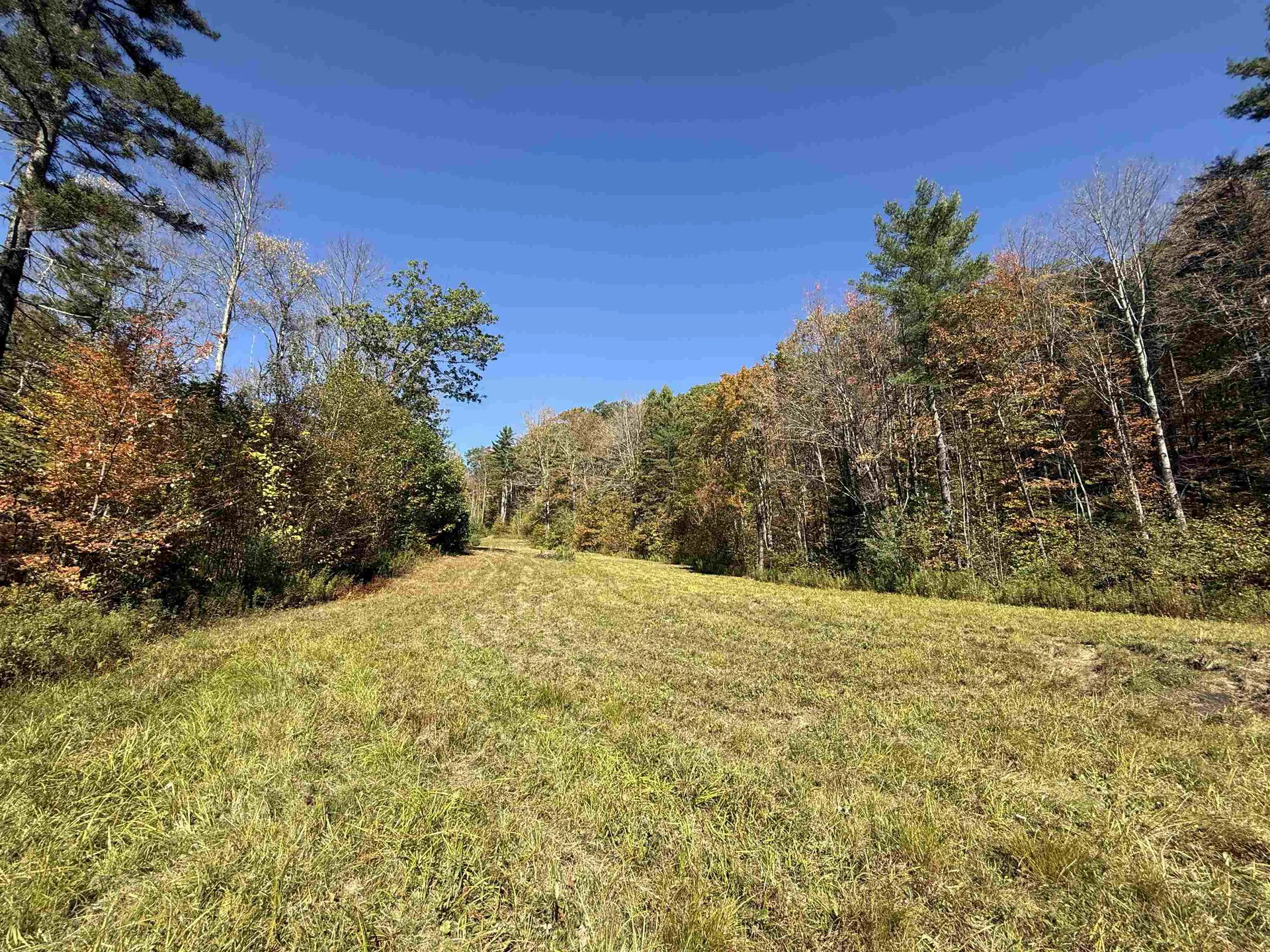 2610 Lower Dover Road Marlboro VT 05344