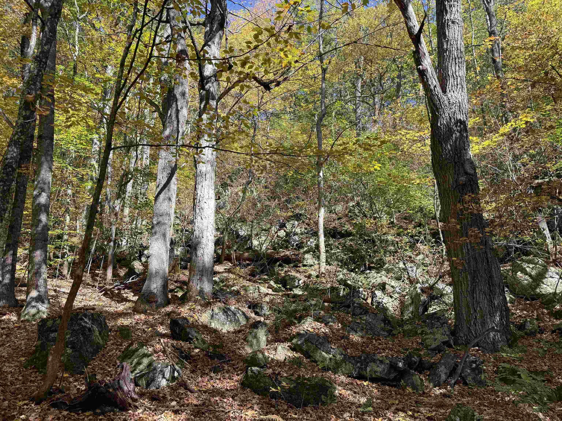 2610 Lower Dover Road Marlboro VT 05344