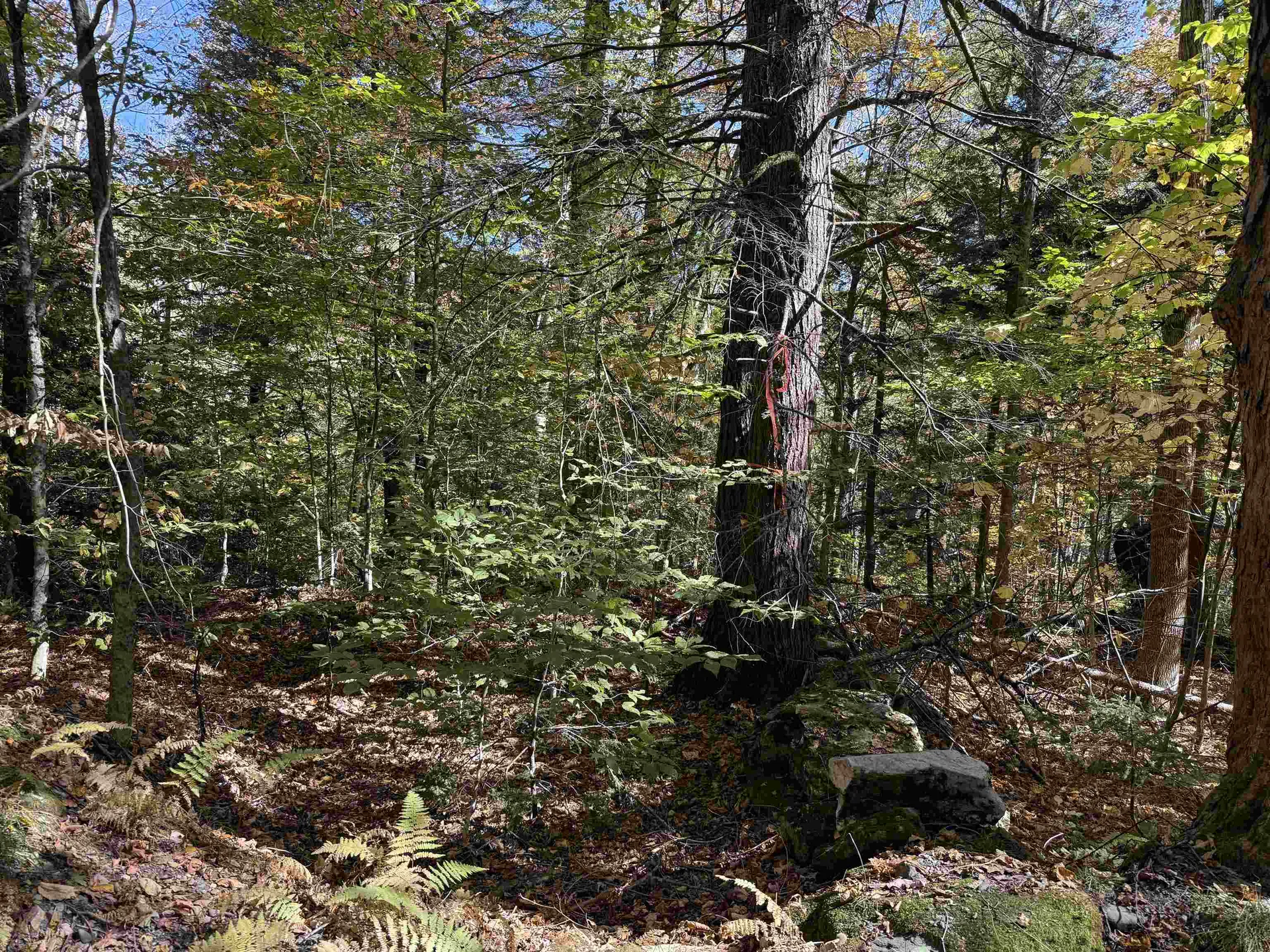 2610 Lower Dover Road Marlboro VT 05344