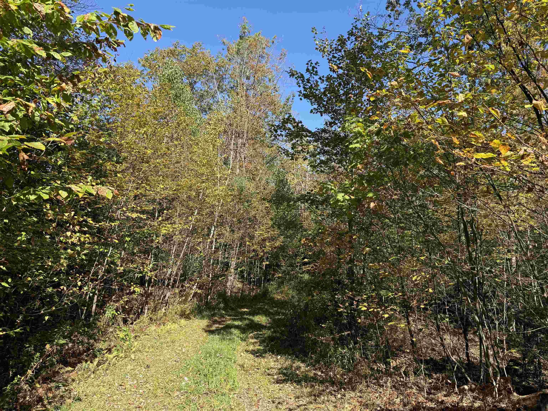 2610 Lower Dover Road Marlboro VT 05344