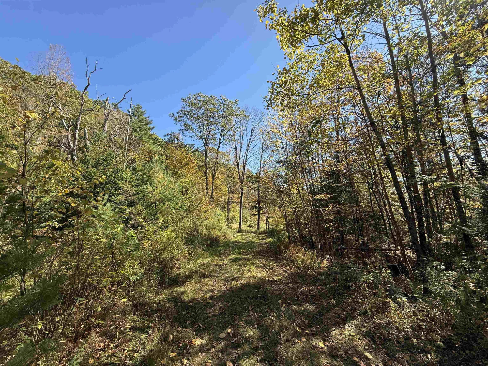 2610 Lower Dover Road Marlboro VT 05344