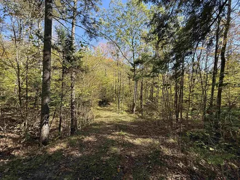 2610 Lower Dover Road Marlboro VT 05344