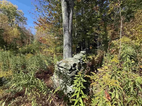 2610 Lower Dover Road Marlboro VT 05344