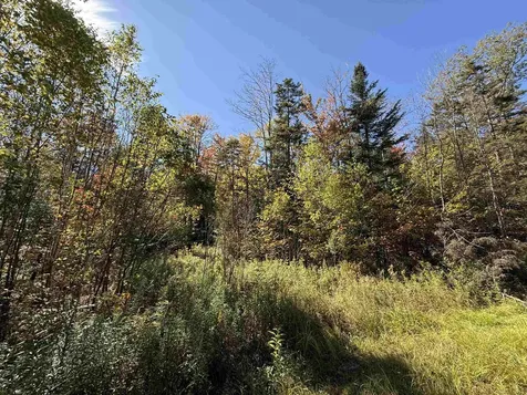 2610 Lower Dover Road Marlboro VT 05344