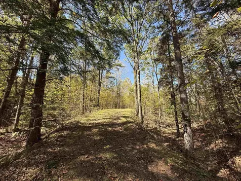 2610 Lower Dover Road Marlboro VT 05344