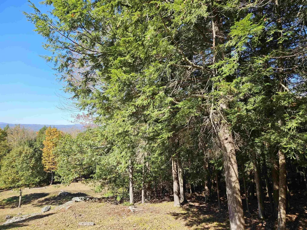 59 Stevens Road Hanover NH 03755