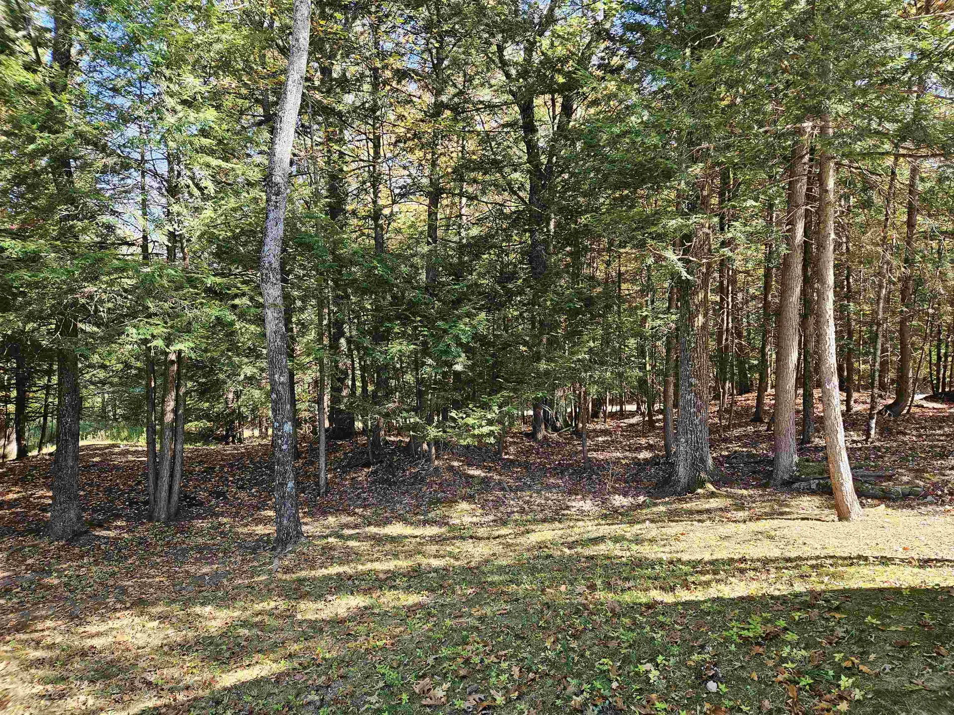 59 Stevens Road Hanover NH 03755