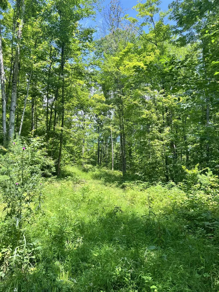 - Denio Road Barnet VT 05821