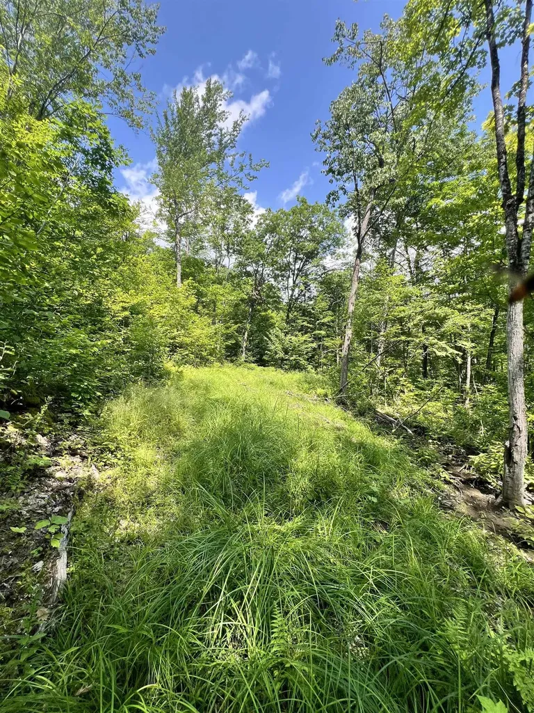 - Denio Road Barnet VT 05821