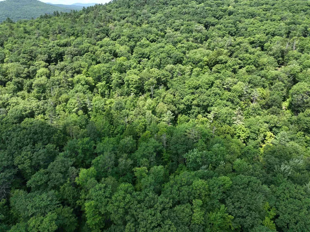 - Denio Road Barnet VT 05821