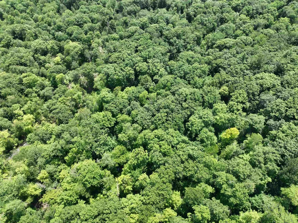 - Denio Road Barnet VT 05821