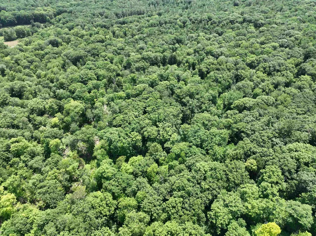 - Denio Road Barnet VT 05821