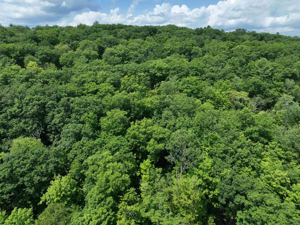 - Denio Road Barnet VT 05821