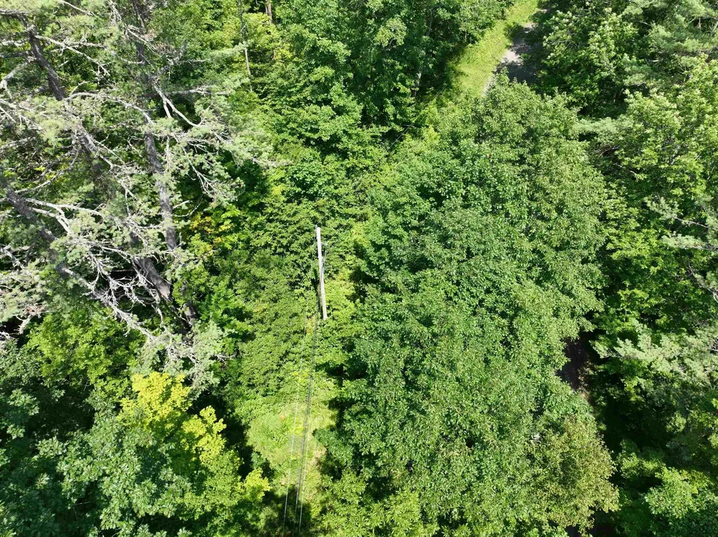 - Denio Road Barnet VT 05821