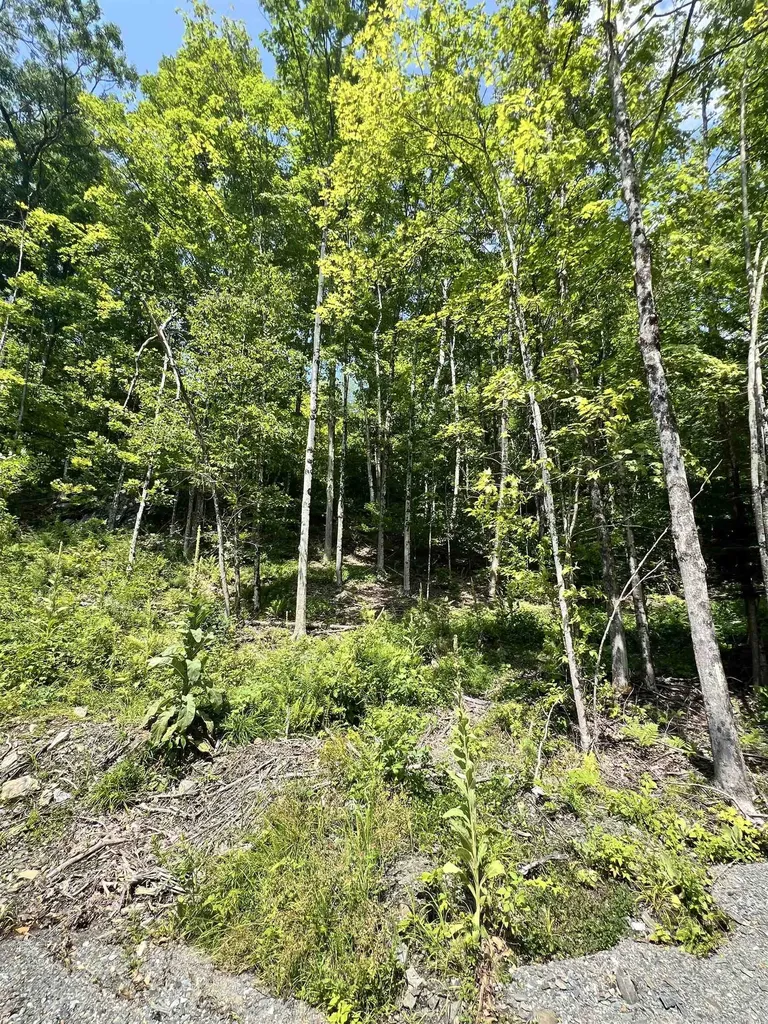 - Denio Road Barnet VT 05821